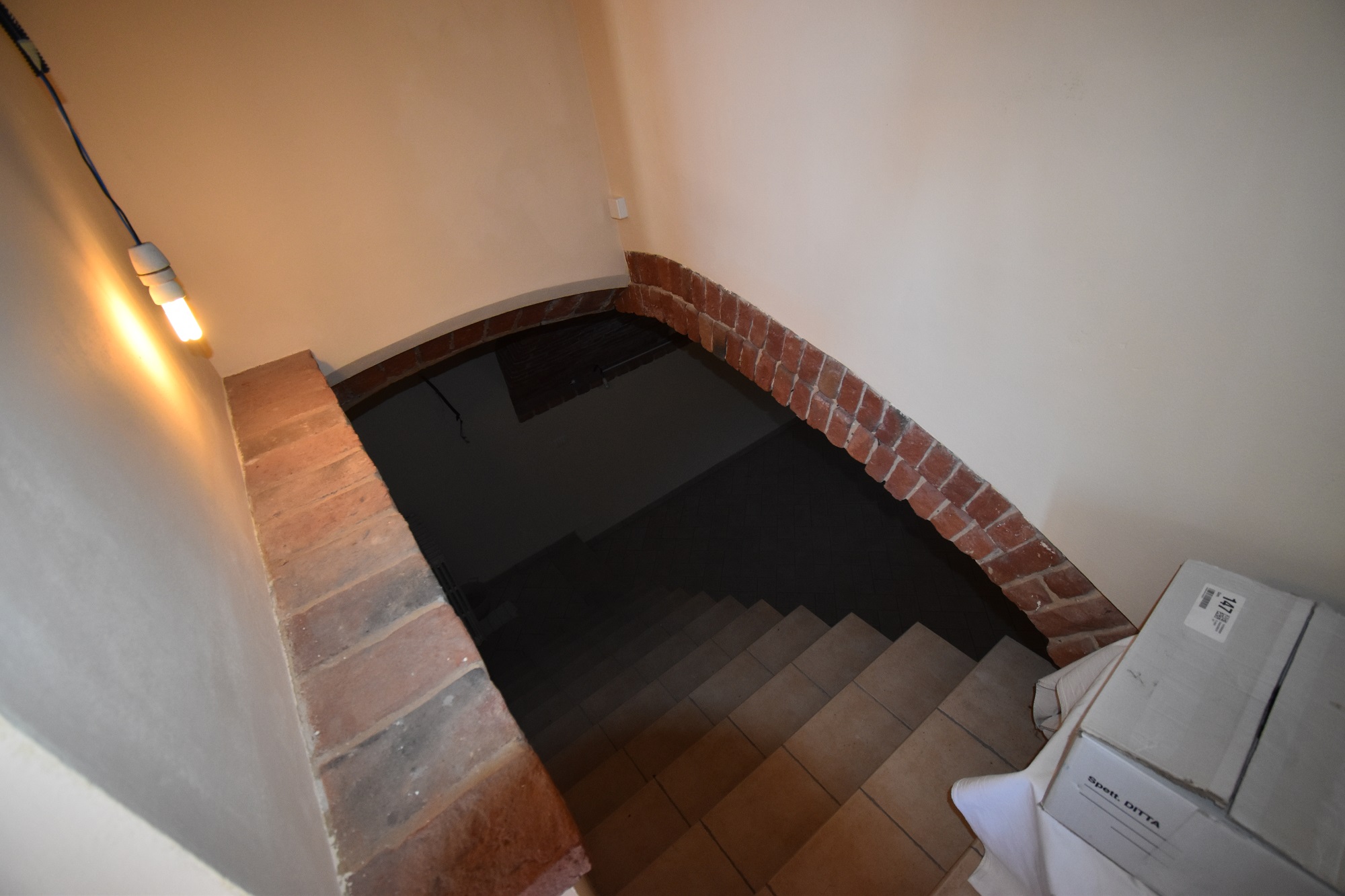 Itaalia, 12 Rooms Rooms,3 VannitoadVannitoad,Villa,Sale,1088
