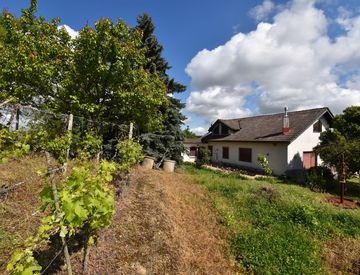 Itaalia, 10 Rooms Rooms,2 VannitoadVannitoad,Villa,Sale,1096