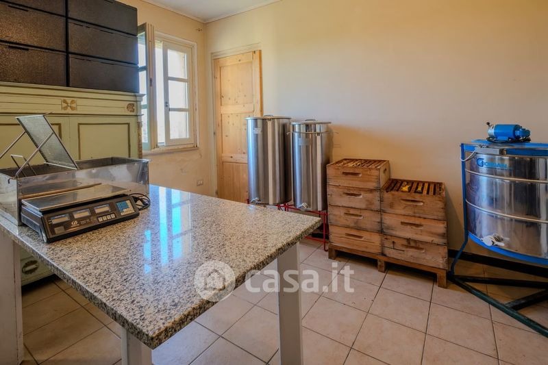 Cortandone, Itaalia, 20 Rooms Rooms,6 VannitoadVannitoad,Villa,Sale,1099