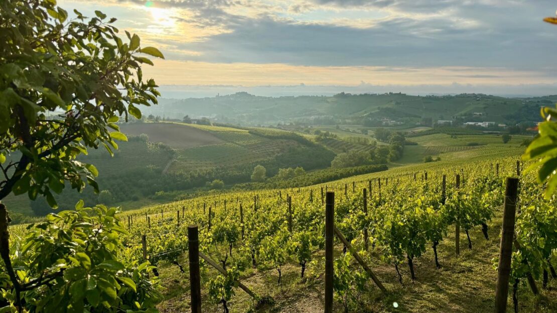 Itaalia, 3 Bedrooms Bedrooms, 8 Rooms Rooms,2 VannitoadVannitoad,Villa,Sale,1106