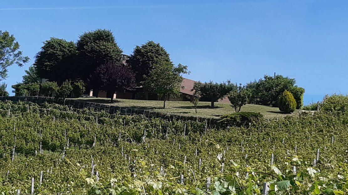 Itaalia, 3 Bedrooms Bedrooms, 8 Rooms Rooms,2 VannitoadVannitoad,Villa,Sale,1106