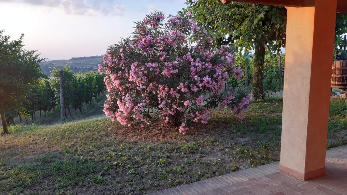 Itaalia, 3 Bedrooms Bedrooms, 8 Rooms Rooms,2 VannitoadVannitoad,Villa,Sale,1106