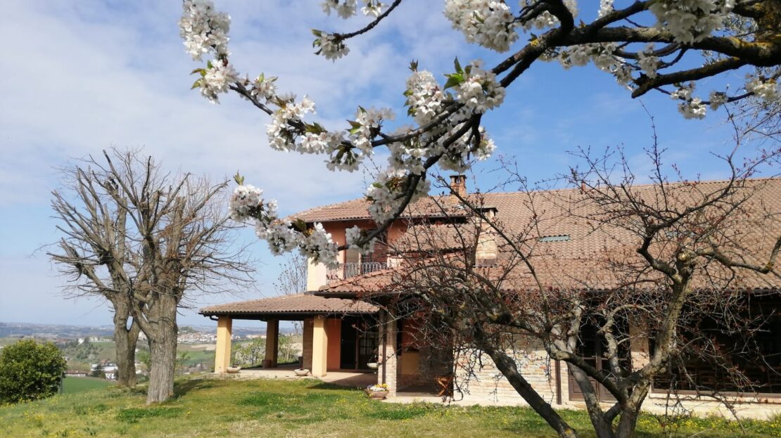 Itaalia, 3 Bedrooms Bedrooms, 8 Rooms Rooms,2 VannitoadVannitoad,Villa,Sale,1106