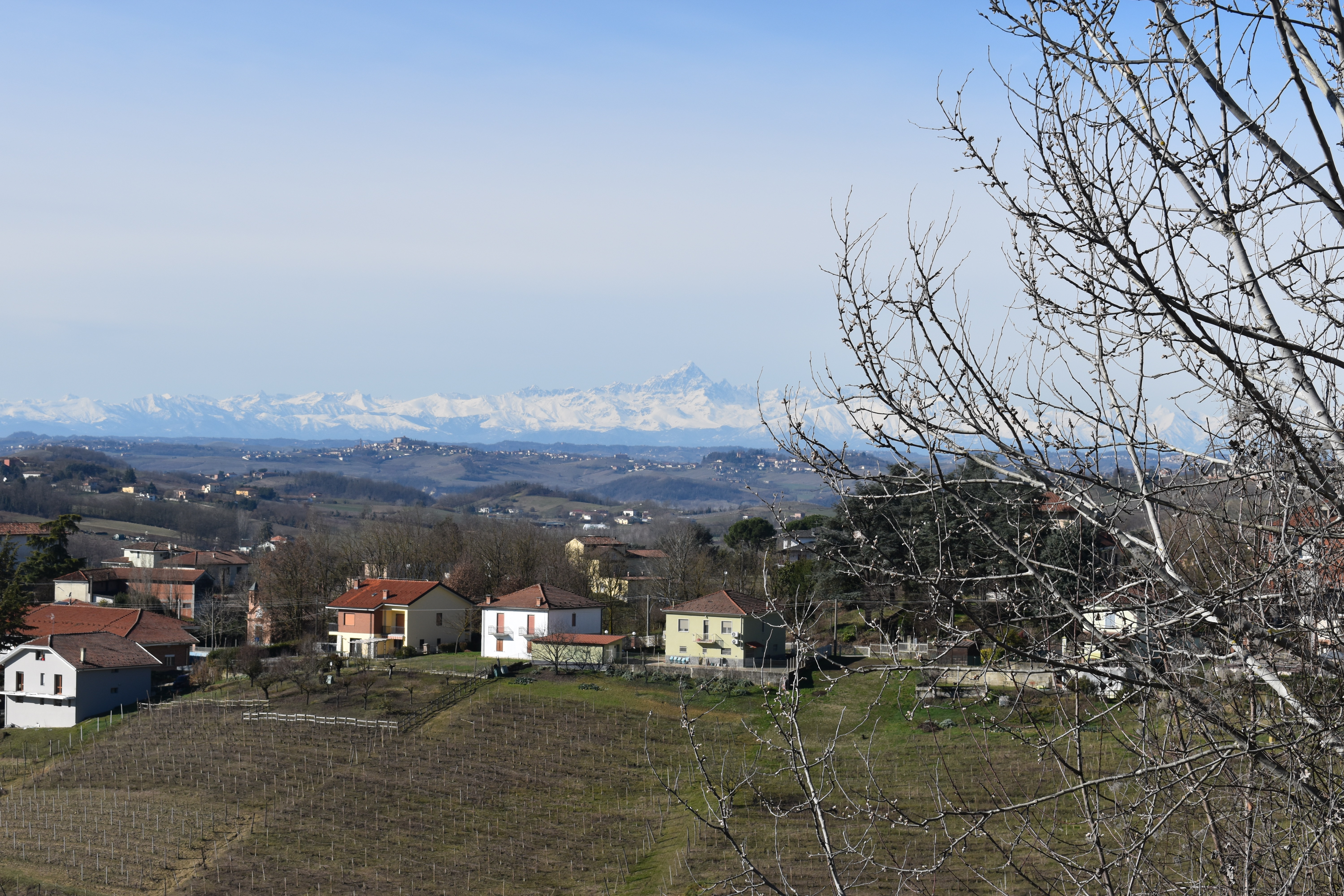 Vigliano d'Asti, Itaalia, 4 Bedrooms Bedrooms, 10 Rooms Rooms,3 VannitoadVannitoad,Villa,Sale,1108