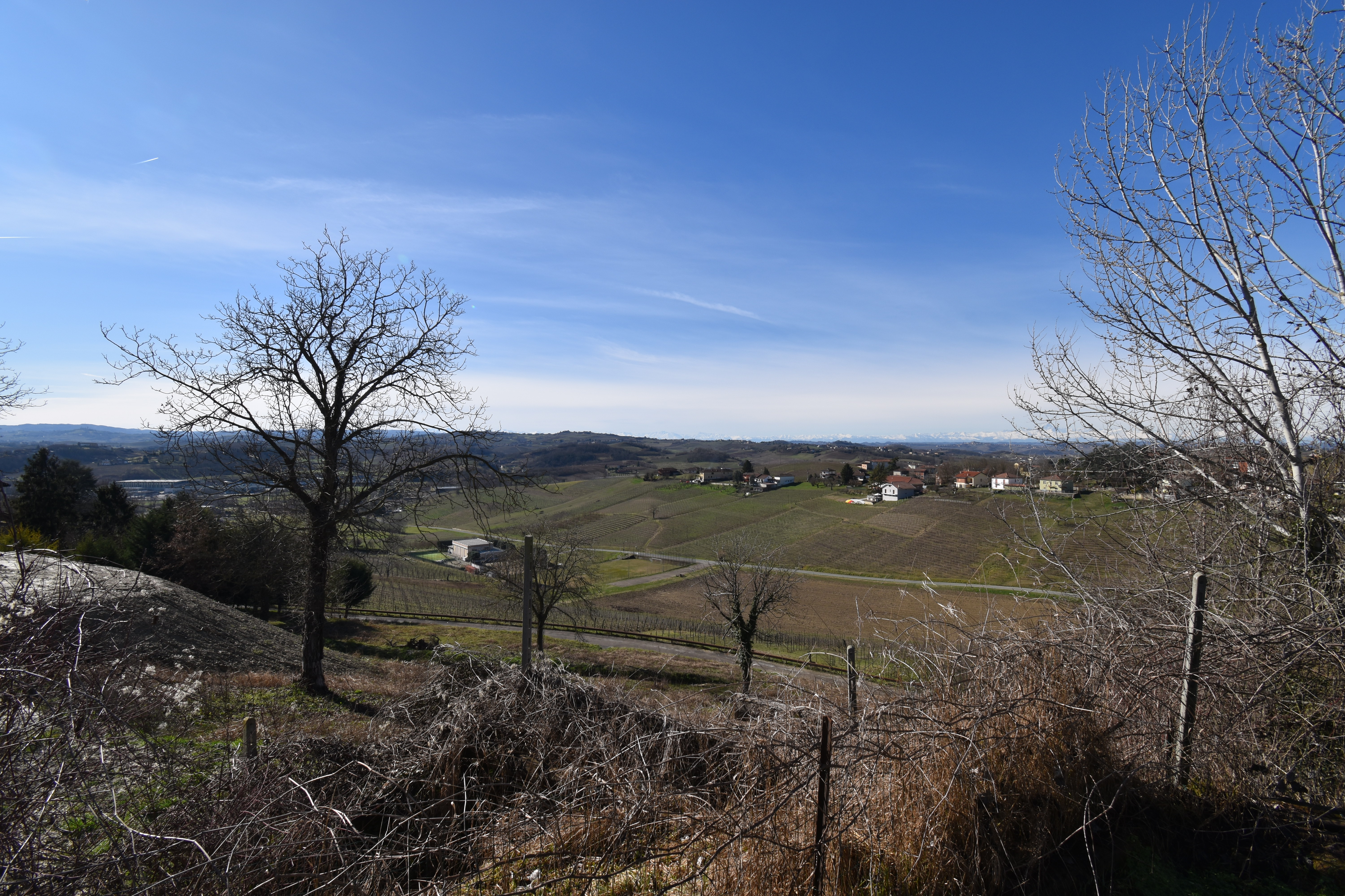 Vigliano d'Asti, Itaalia, 4 Bedrooms Bedrooms, 10 Rooms Rooms,3 VannitoadVannitoad,Villa,Sale,1108