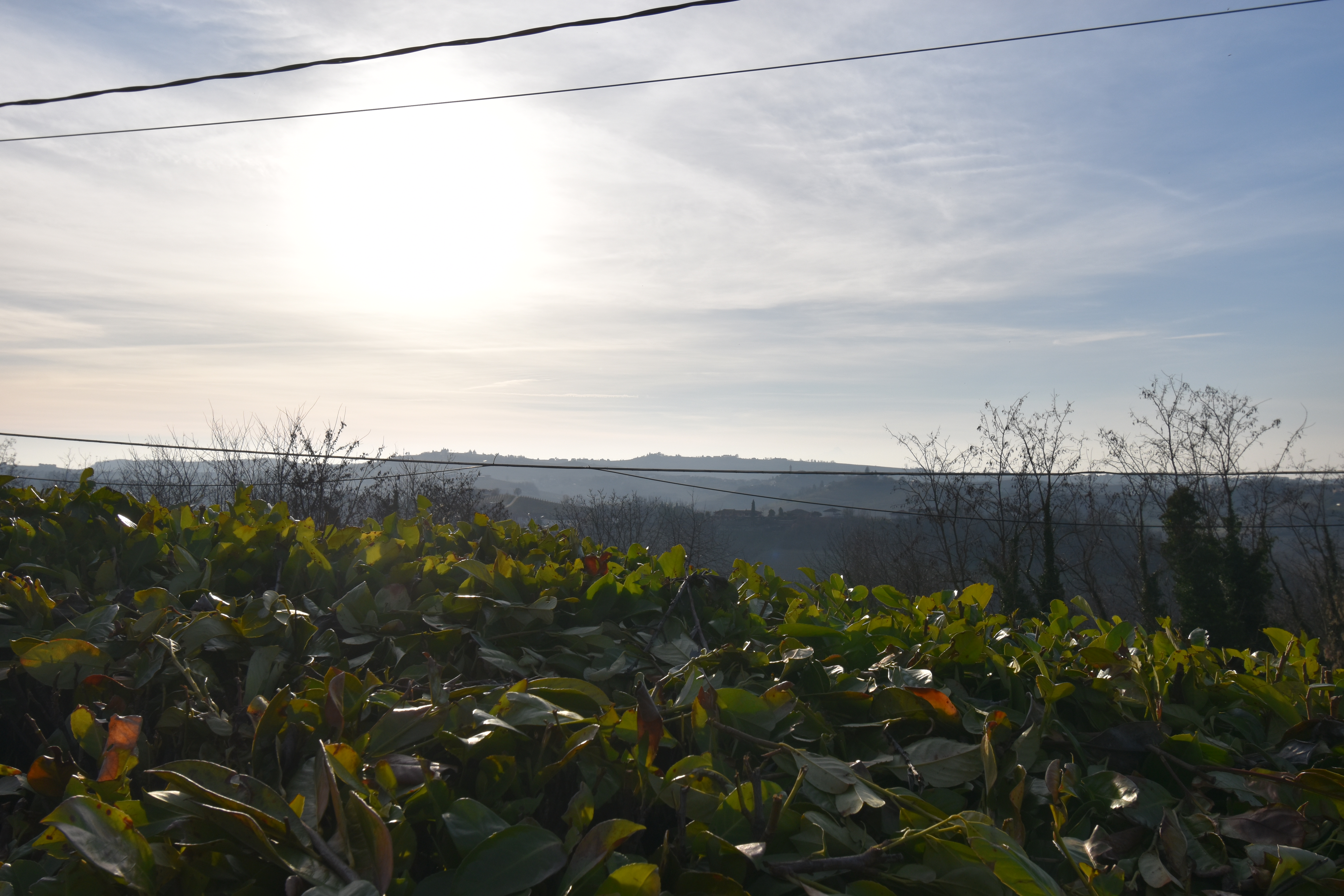 Agliano Terme, Itaalia, 10 Rooms Rooms,3 VannitoadVannitoad,Villa,Sale,1109