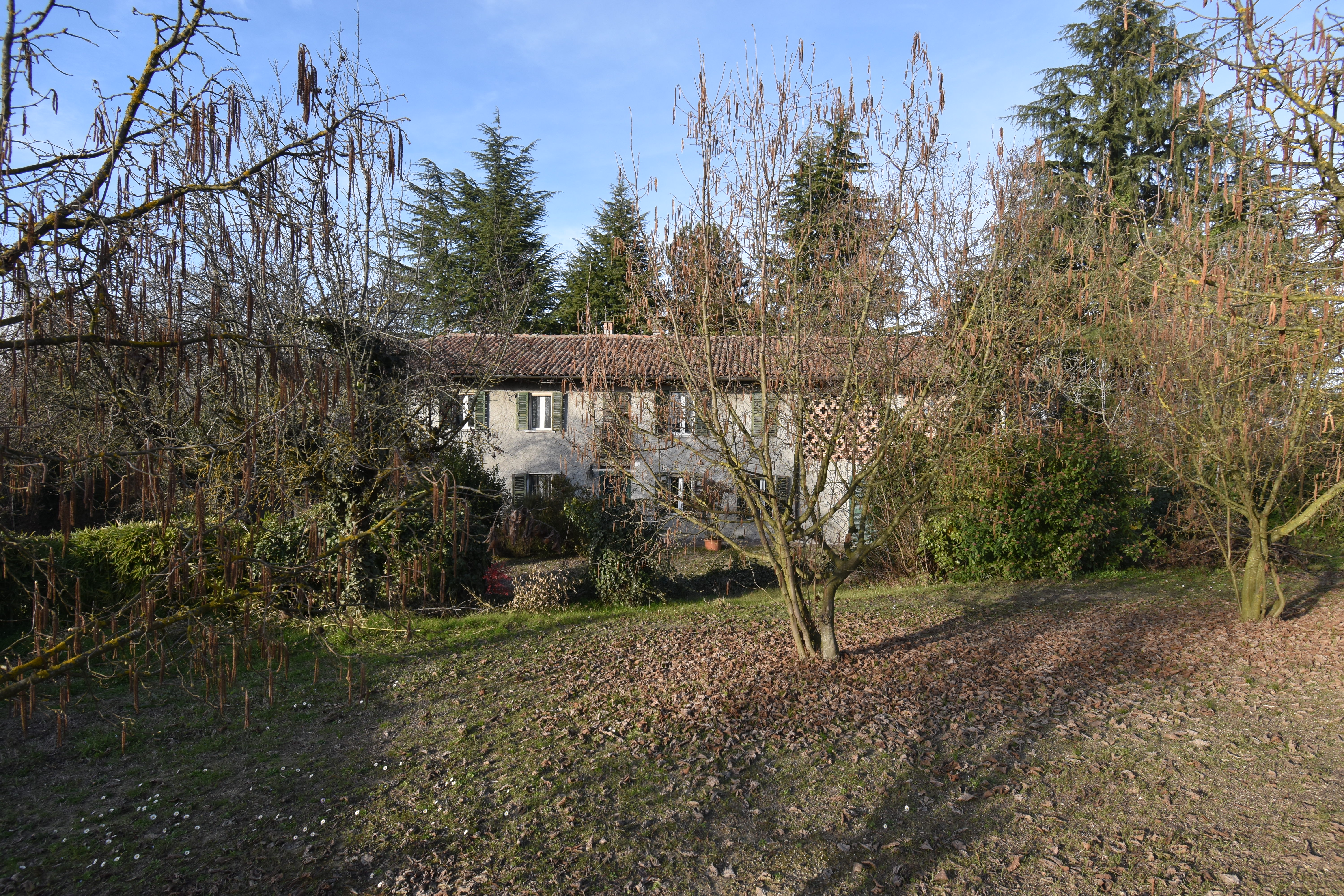 Agliano Terme, Itaalia, 10 Rooms Rooms,3 VannitoadVannitoad,Villa,Sale,1109