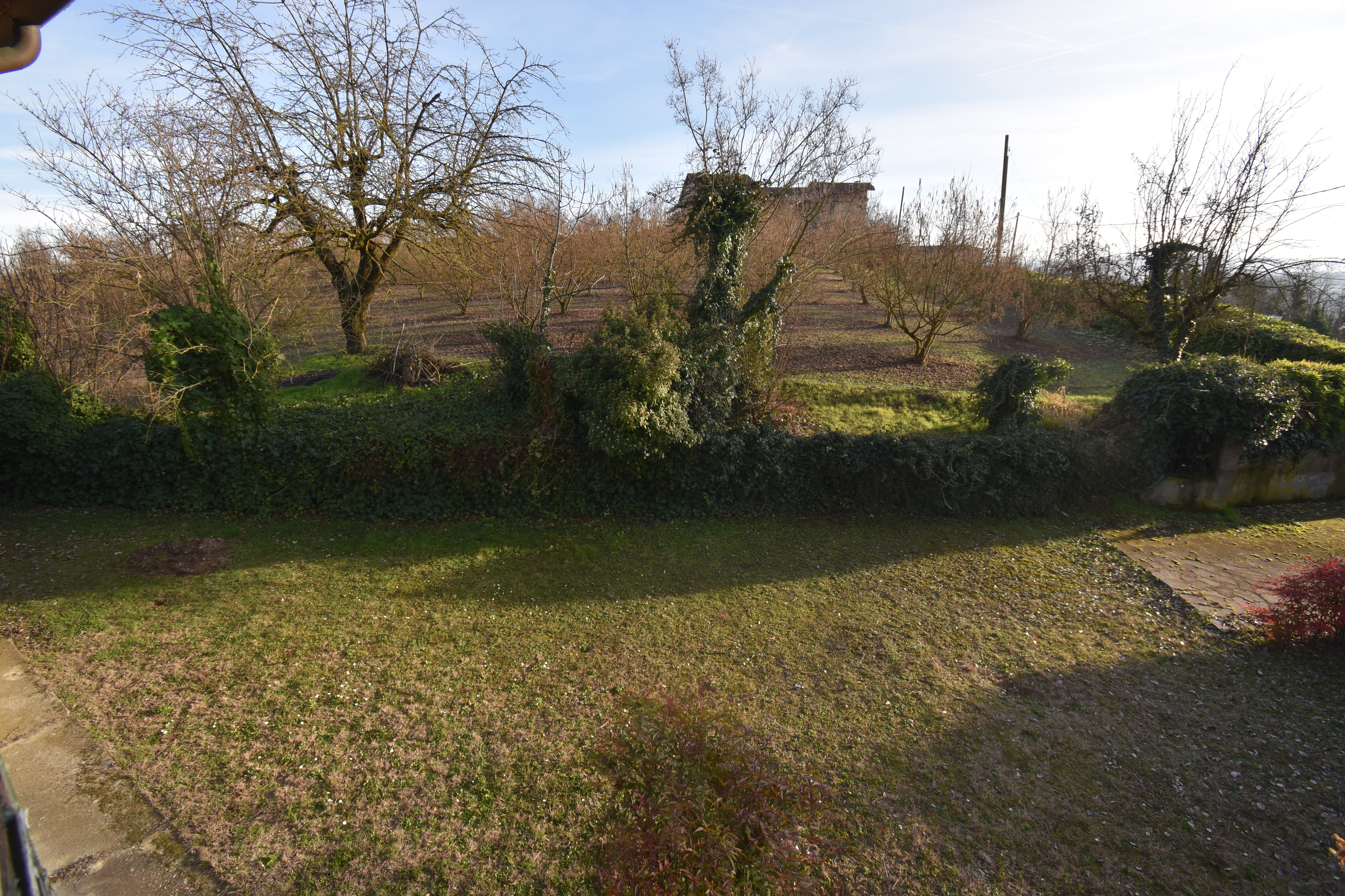 Agliano Terme, Itaalia, 10 Rooms Rooms,3 VannitoadVannitoad,Villa,Sale,1109