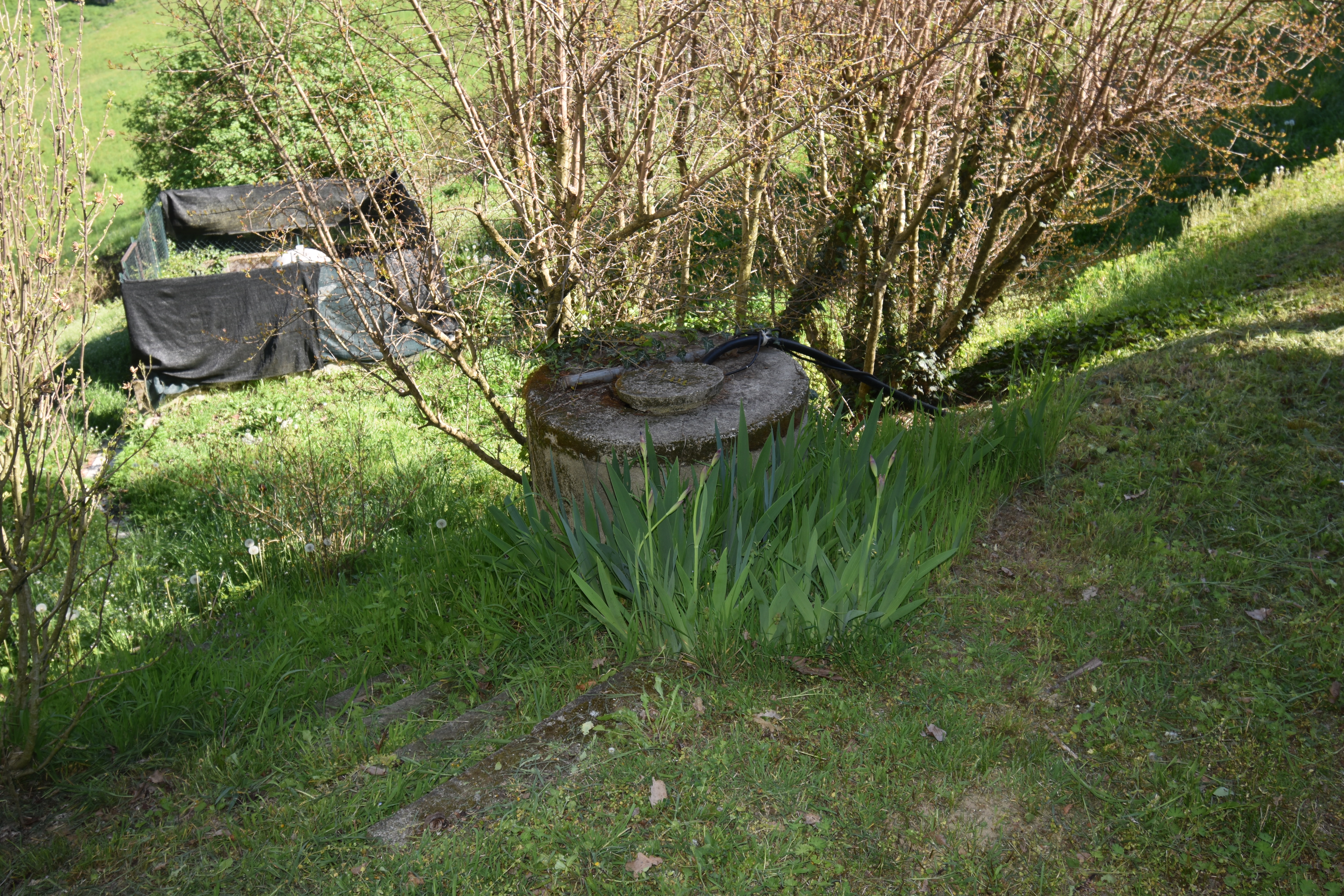 Asti, Itaalia, 5 Rooms Rooms,2 VannitoadVannitoad,Villa,Sale,1114