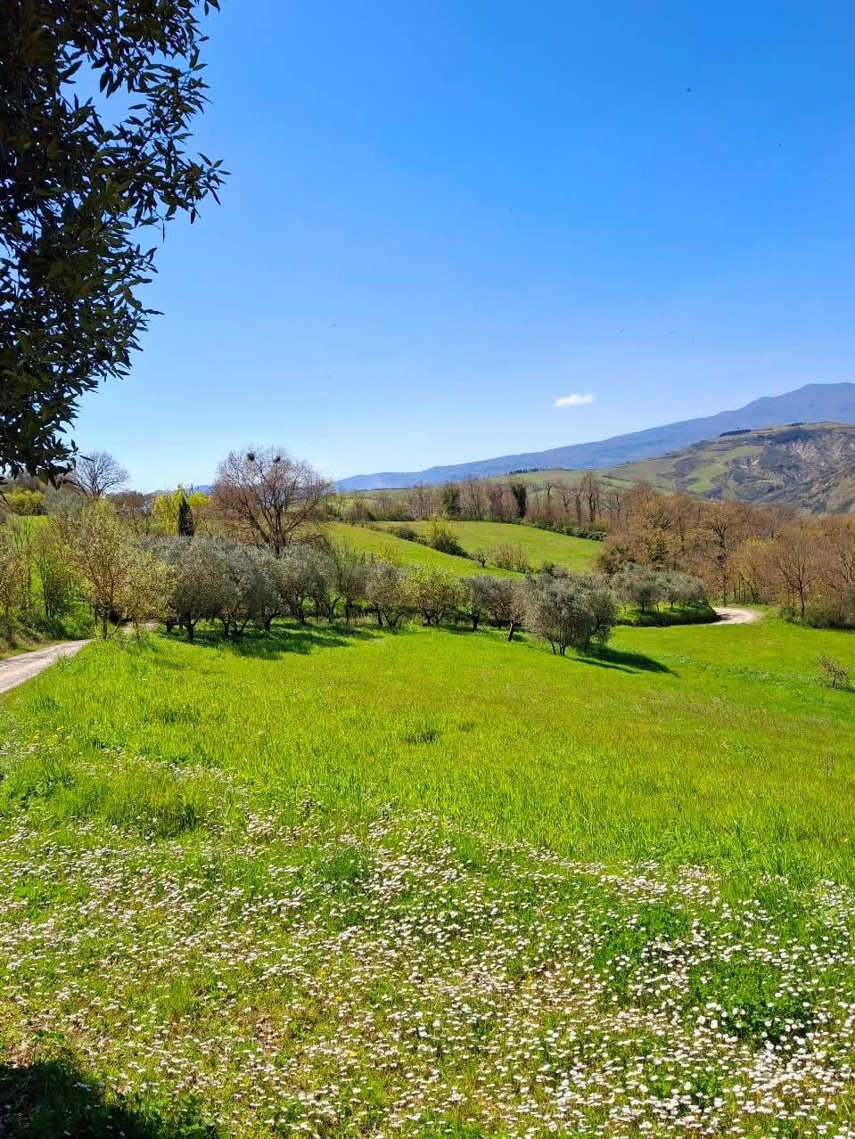Itaalia, 3 Bedrooms Bedrooms, 7 Rooms Rooms,2 VannitoadVannitoad,Villa,Sale,1120