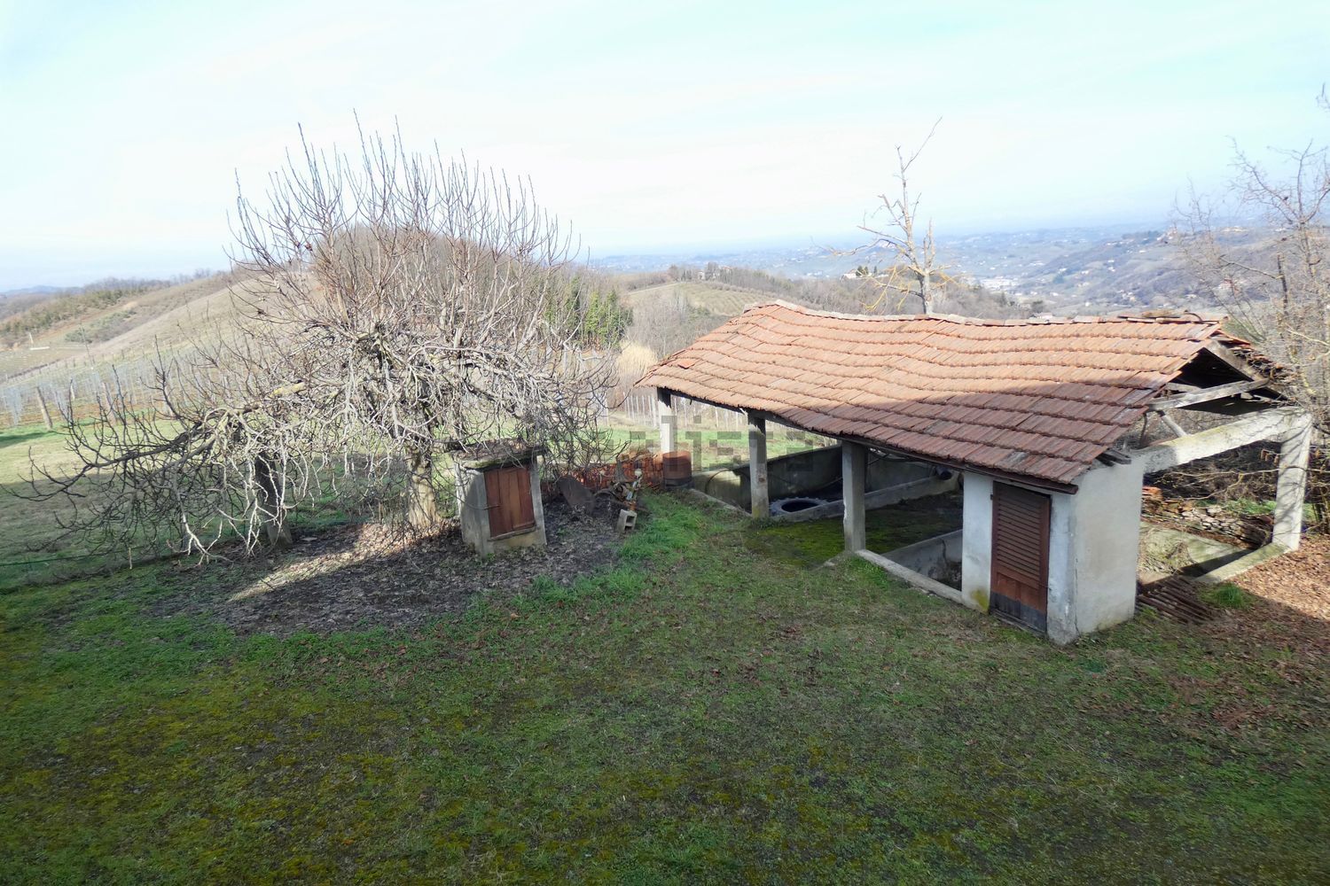 Rocchetta Palafea, Itaalia, 9 Bedrooms Bedrooms, 25 Rooms Rooms,1 VannitubaVannitoad,Villa,Sale,1017